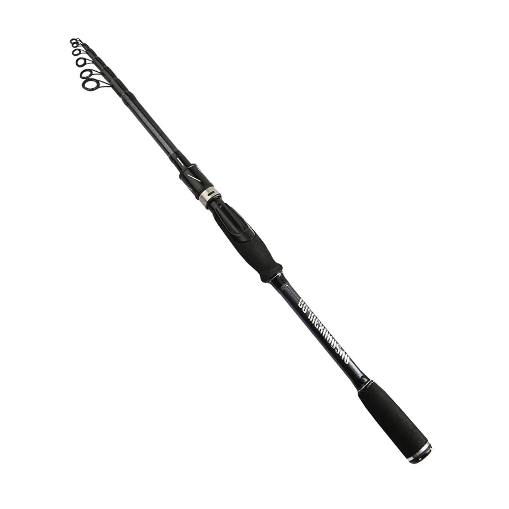 Spinning Baitcasting Casting Fishing Pole