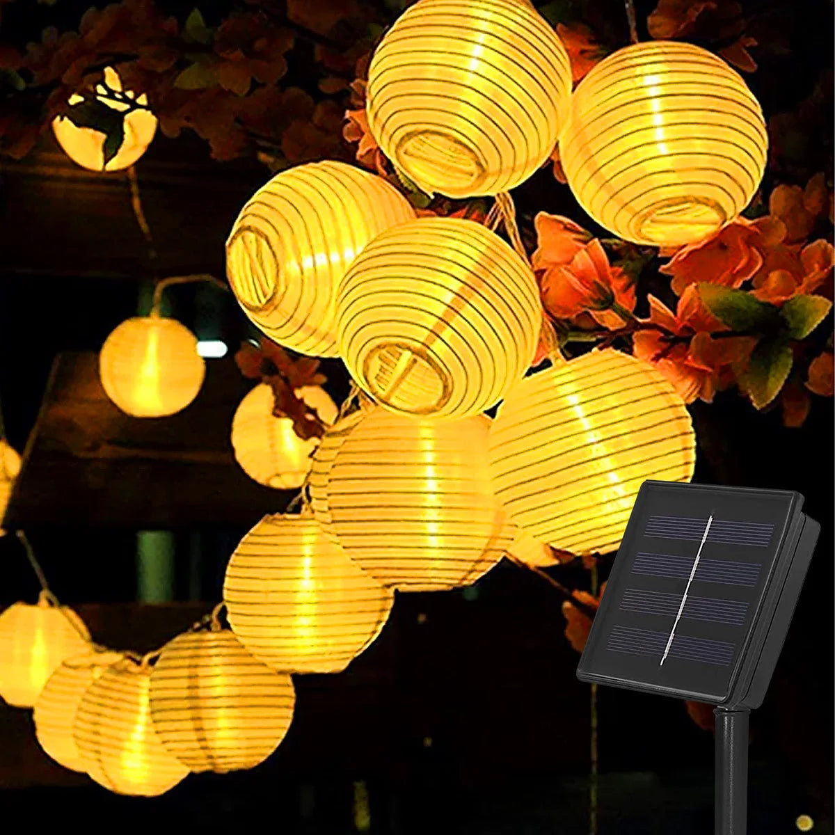 Solar Outdoor Light