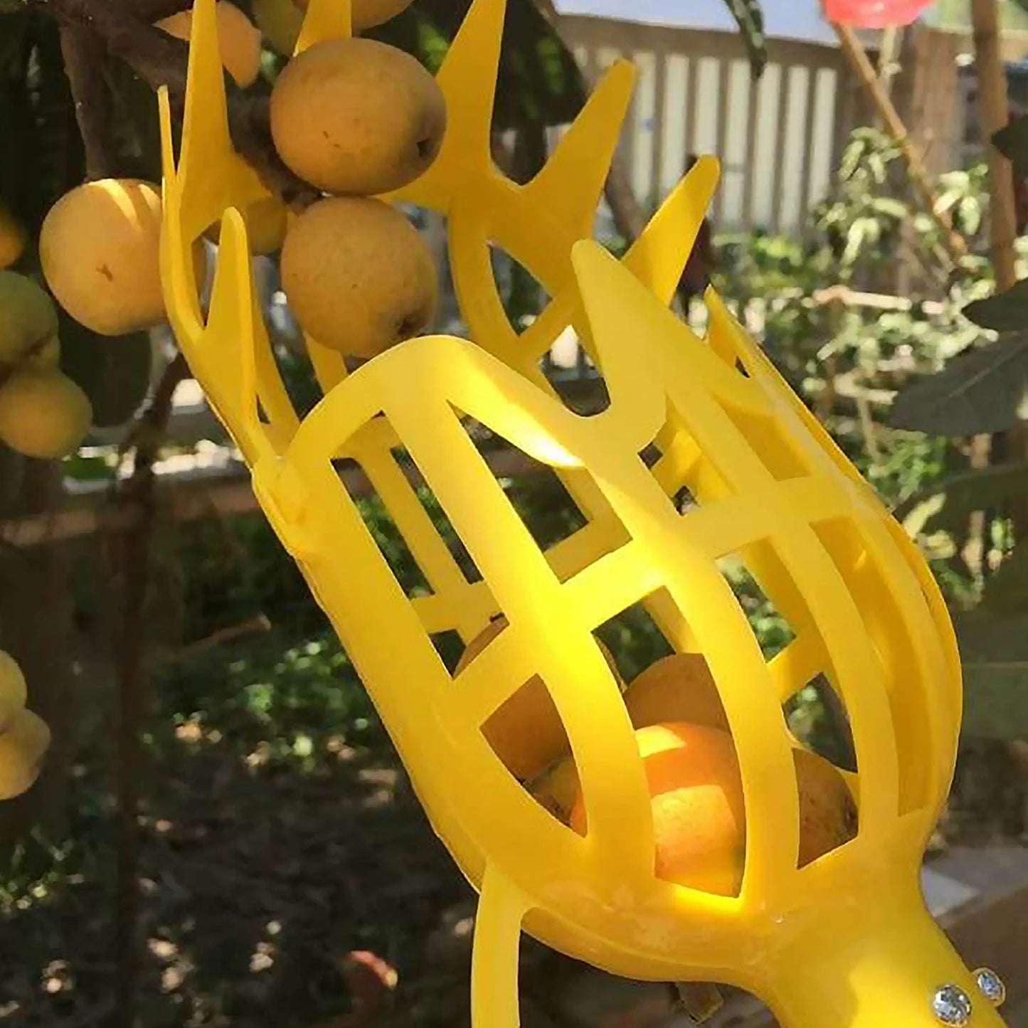 2pcs Plastic Fruit Picker