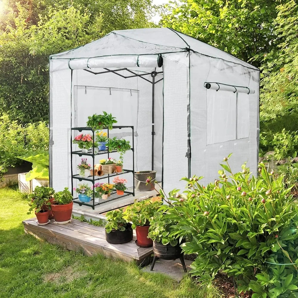 8x6ft Walk-in Pop-up Greenhouse